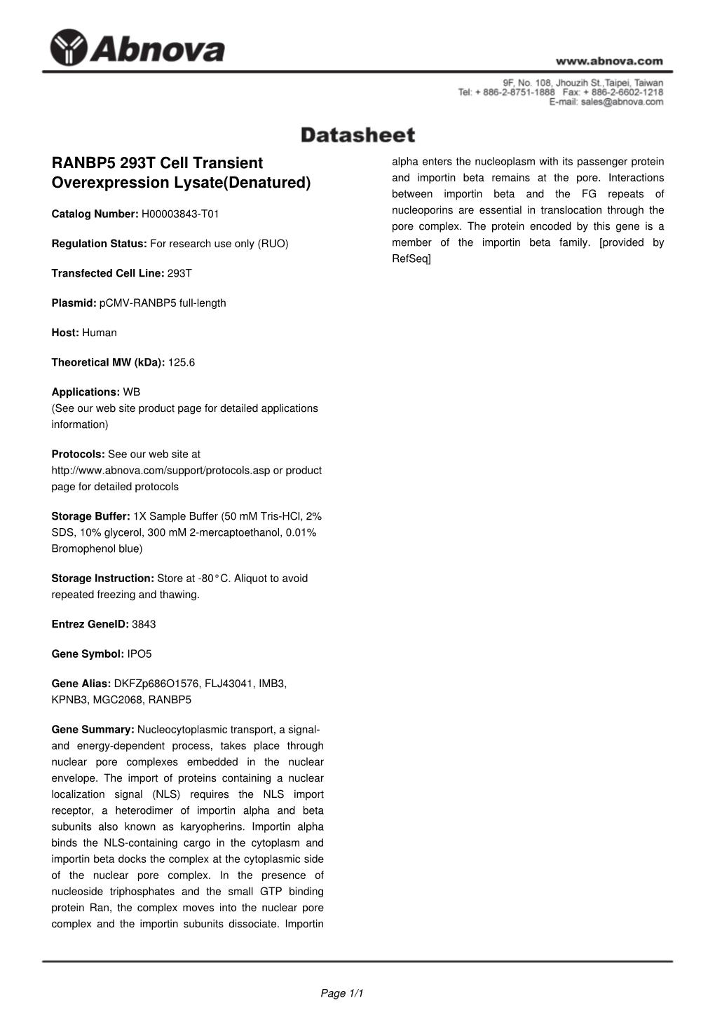 RANBP5 293T Cell Transient Overexpression Lysate(Denatured)