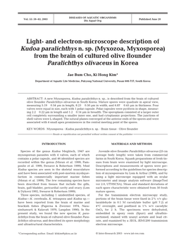 Light-And Electron-Microscope Description of Kudoa Paralichthys N