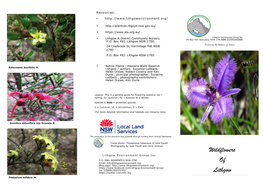 Download Wildflower Brochure
