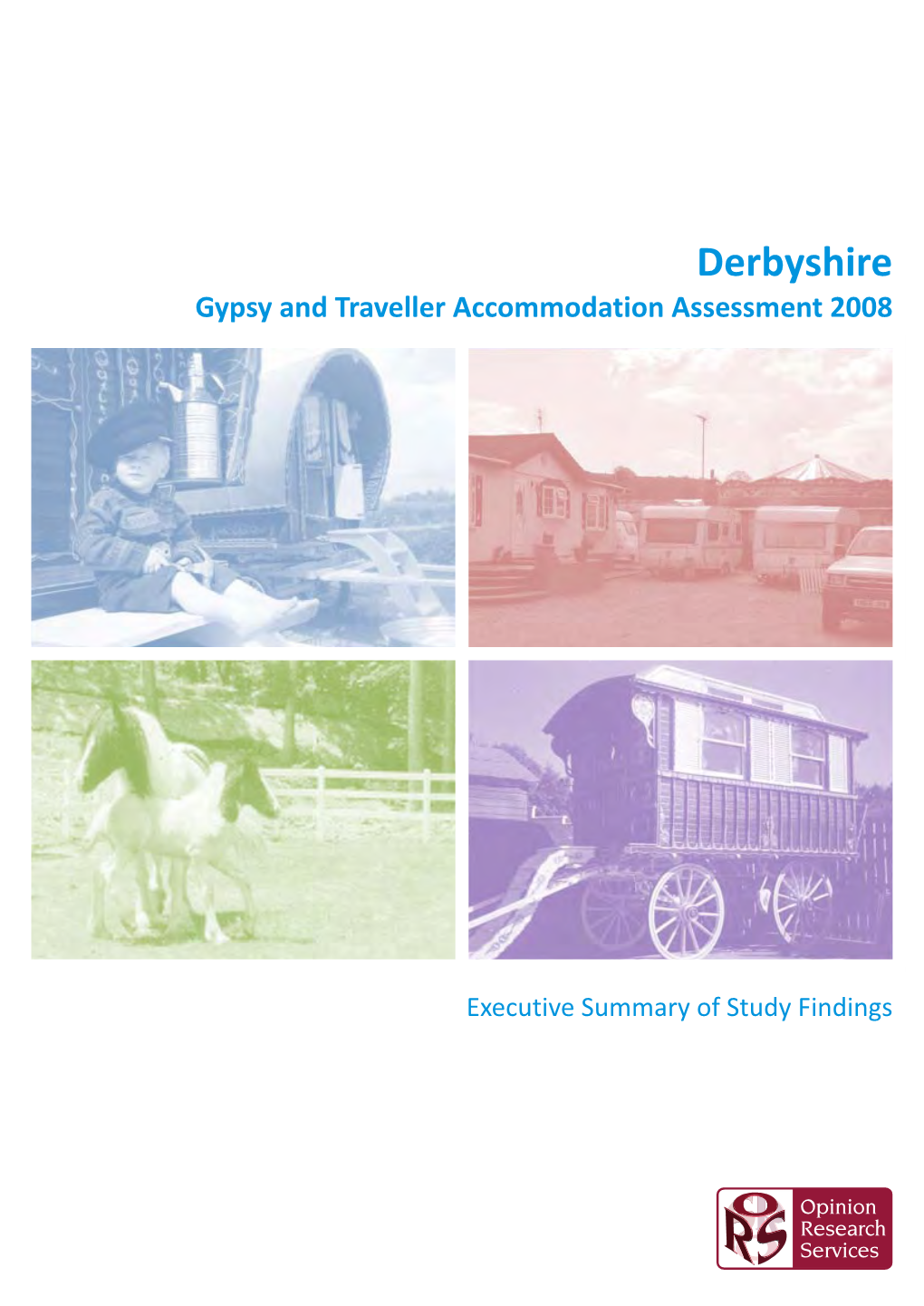 Gypsy and Traveller Accommodation Assessment 2008