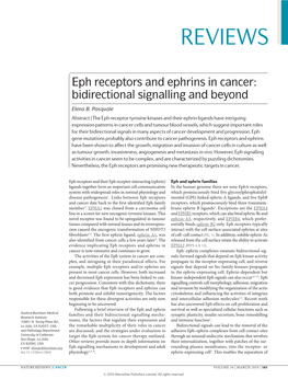 Eph Receptors and Ephrins in Cancer: Bidirectional Signalling and Beyond