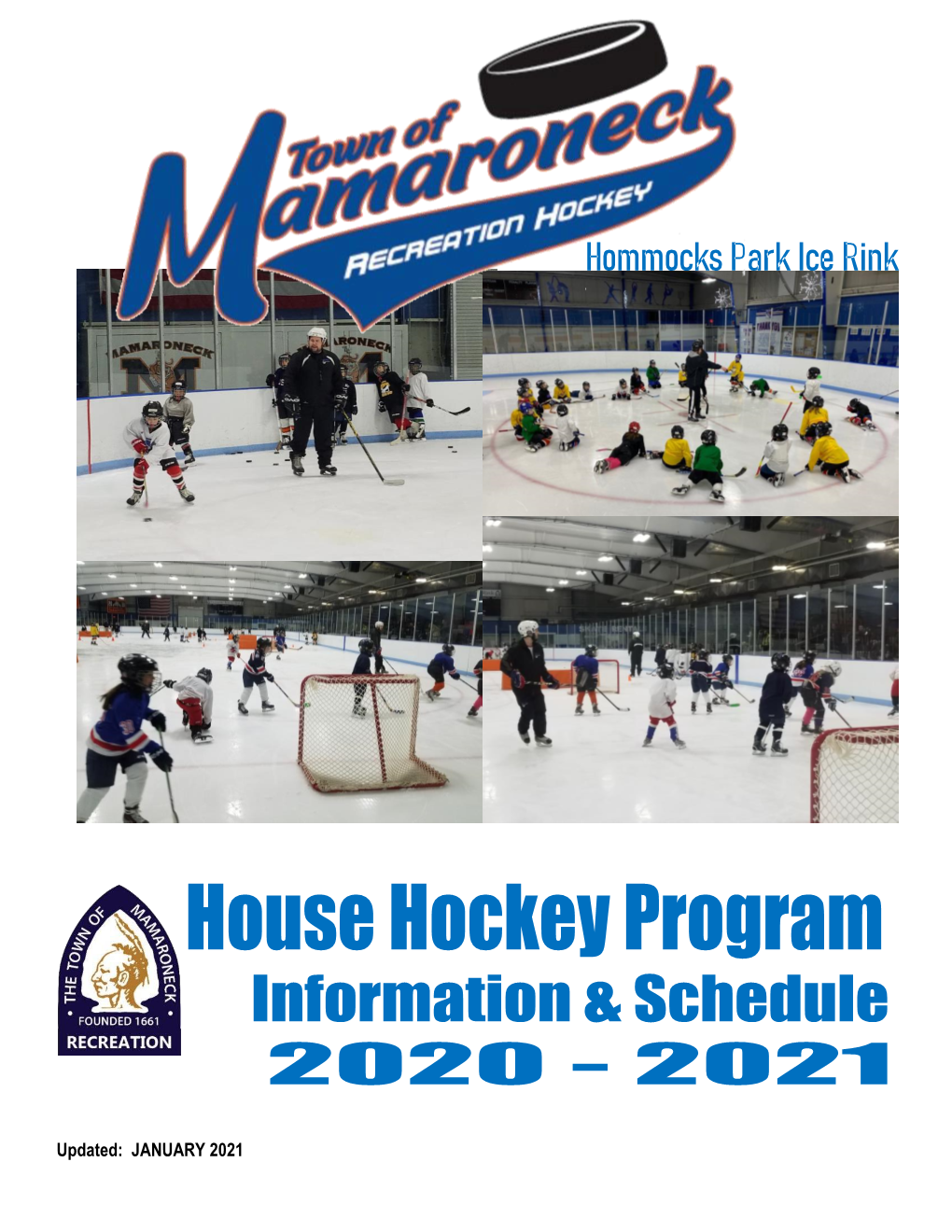 Recreational Hockey Program