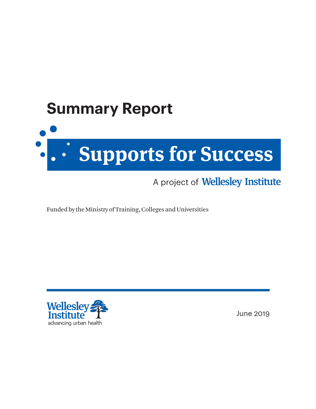 Summary Report