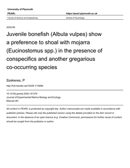 Juvenile Bonefish (Albula Vulpes)