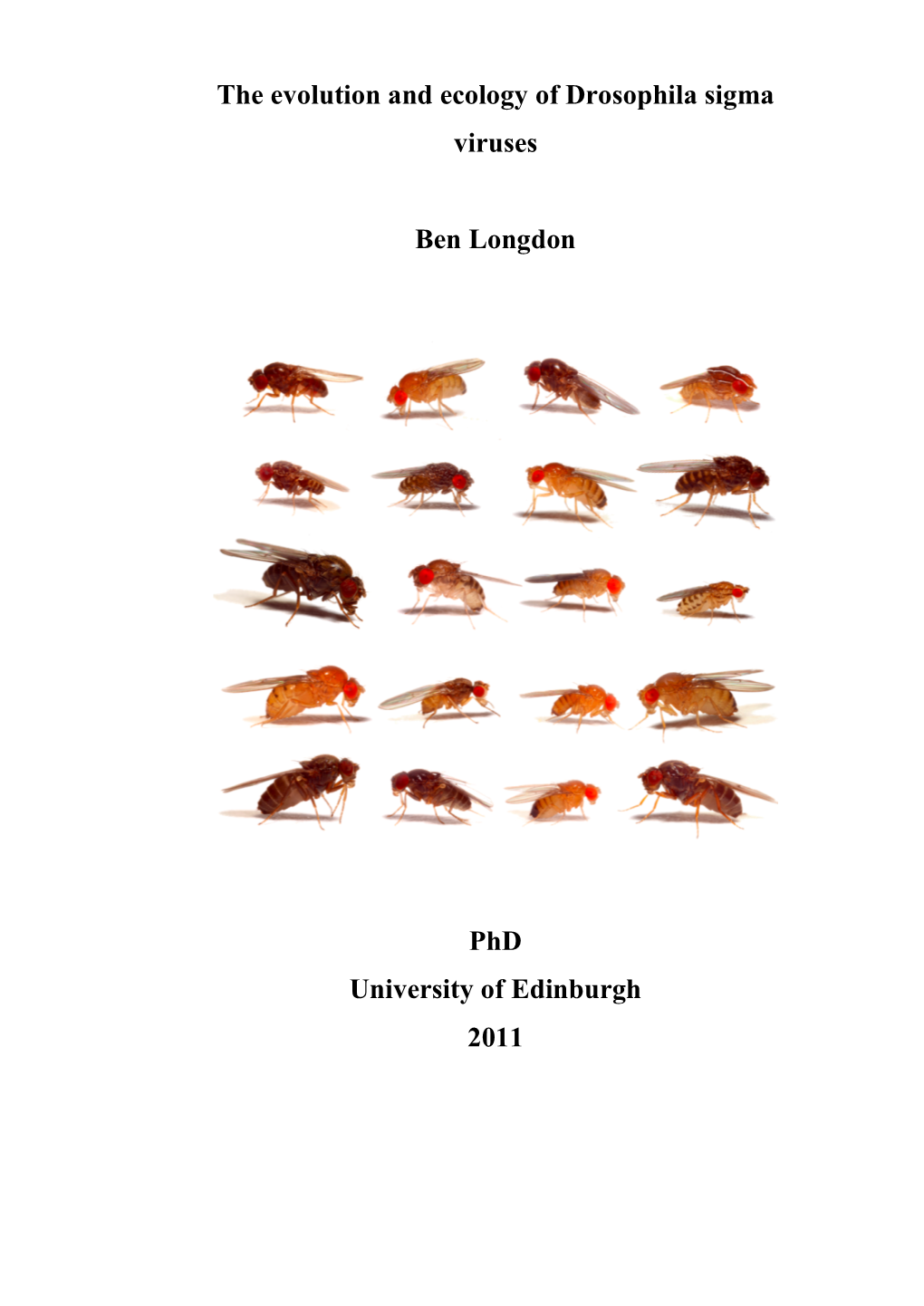 The Evolution and Ecology of Drosophila Sigma Viruses Ben