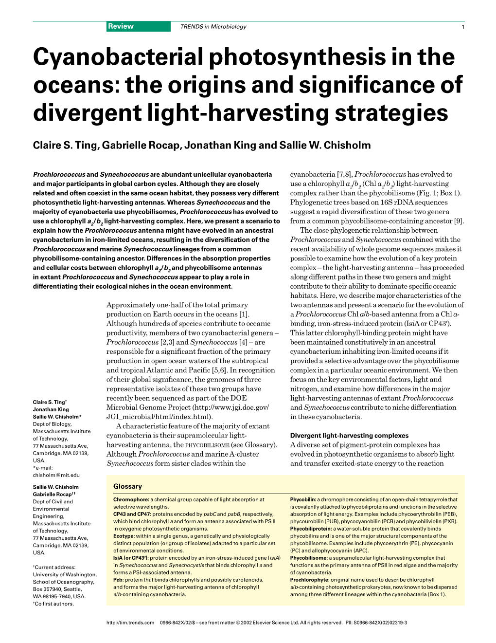 Cyanobacterial Photosynthesis in the Oceans: the Origins and Significance of Divergent Light-Harvesting Strategies