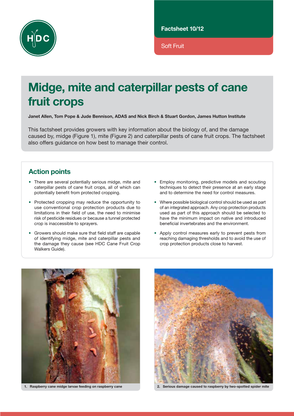 Midge, Mite and Caterpillar Pests of Cane Fruit Crops