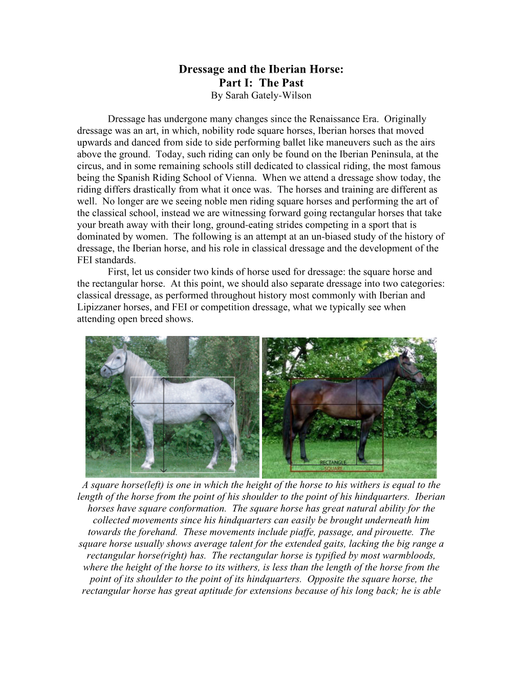 Dressage and the Iberian Horse: Part I: the Past by Sarah Gately-Wilson