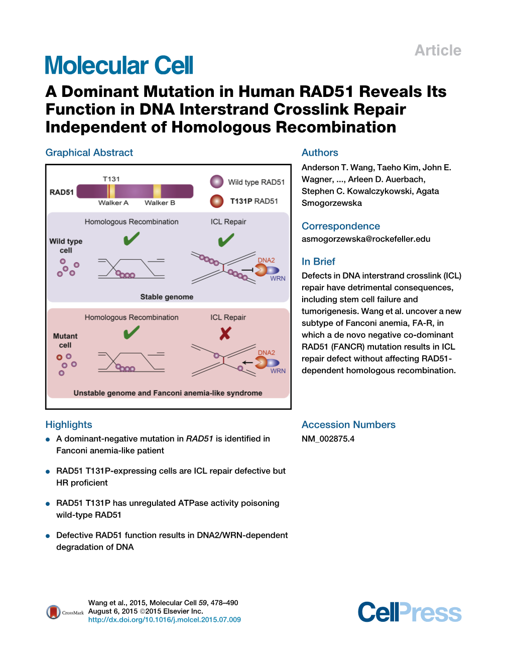 A Dominant Mutation in Human RAD51 Reveals Its Function in DNA Interstrand Crosslink Repair Independent of Homologous Recombination