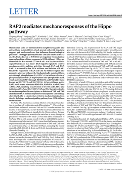 RAP2 Mediates Mechanoresponses of the Hippo Pathway Zhipeng Meng1, Yunjiang Qiu2,3, Kimberly C