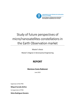 Study of Future Perspectives of Micro/Nanosatellites Constellations in the Earth Observation Market