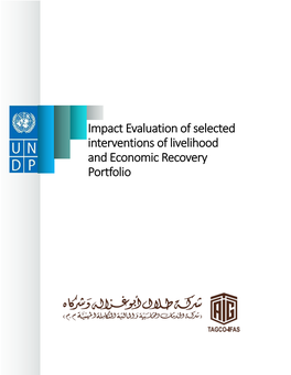 Impact Evaluation UNDP 2018
