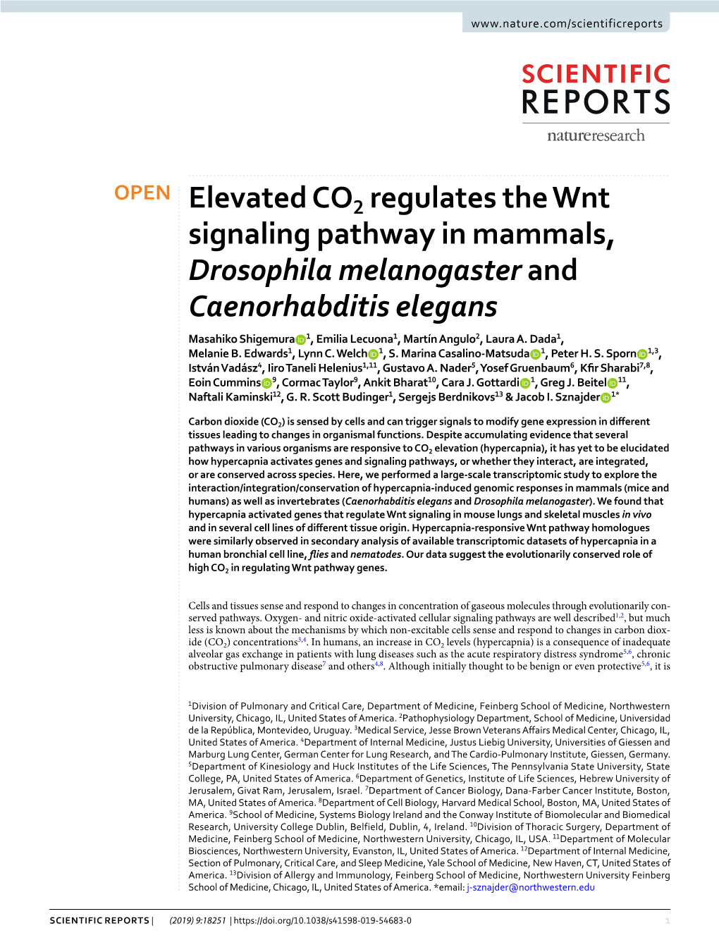 Elevated CO2 Regulates the Wnt Signaling Pathway in Mammals, Drosophila Melanogaster and Caenorhabditis Elegans