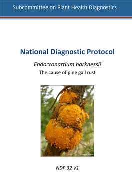 Pine Gall Rust DP