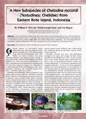 A New Subspecies of Chelodina Mccordi (Testudines: Chelidae) from Eastern Rote Island, Indonesia