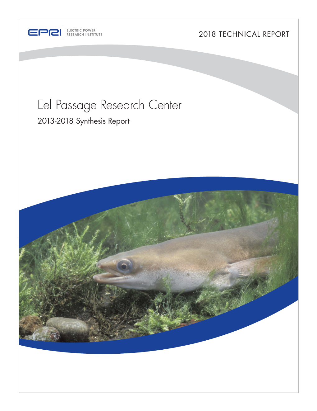 Eel Passage Research Center: 2013-2018 Synthesis Report