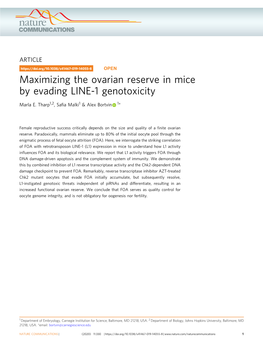 Maximizing the Ovarian Reserve in Mice by Evading LINE-1 Genotoxicity