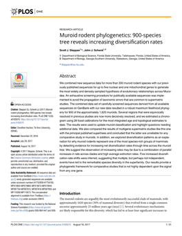 Muroid Rodent Phylogenetics: 900-Species Tree Reveals Increasing Diversification Rates