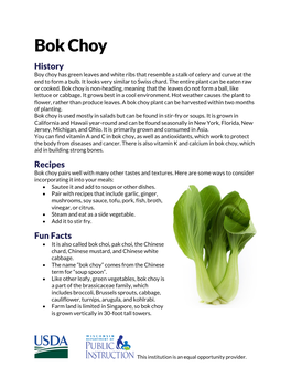 Bok Choy History Boy Choy Has Green Leaves and White Ribs That Resemble a Stalk of Celery and Curve at the End to Form a Bulb