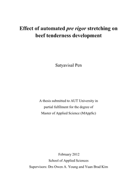 Effect of Automated Pre Rigor Stretching on Beef Tenderness Development