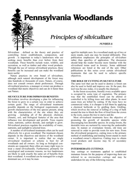 Principles of Silviculture Seeking More Benefits Than Ever Before from Their Rather Than Specifics of Application