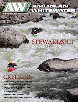 Stewardship Issues of 2010