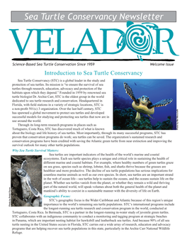 Sea Turtle Conservancy Newsletter