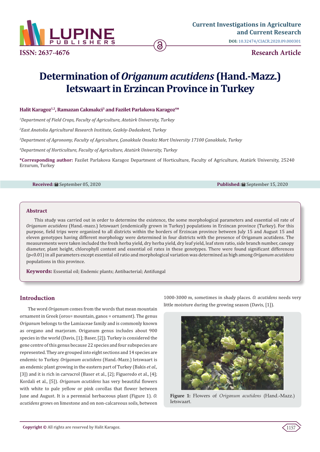 Determination of Origanum Acutidens (Hand.-Mazz.) Ietswaart in Erzincan Province in Turkey