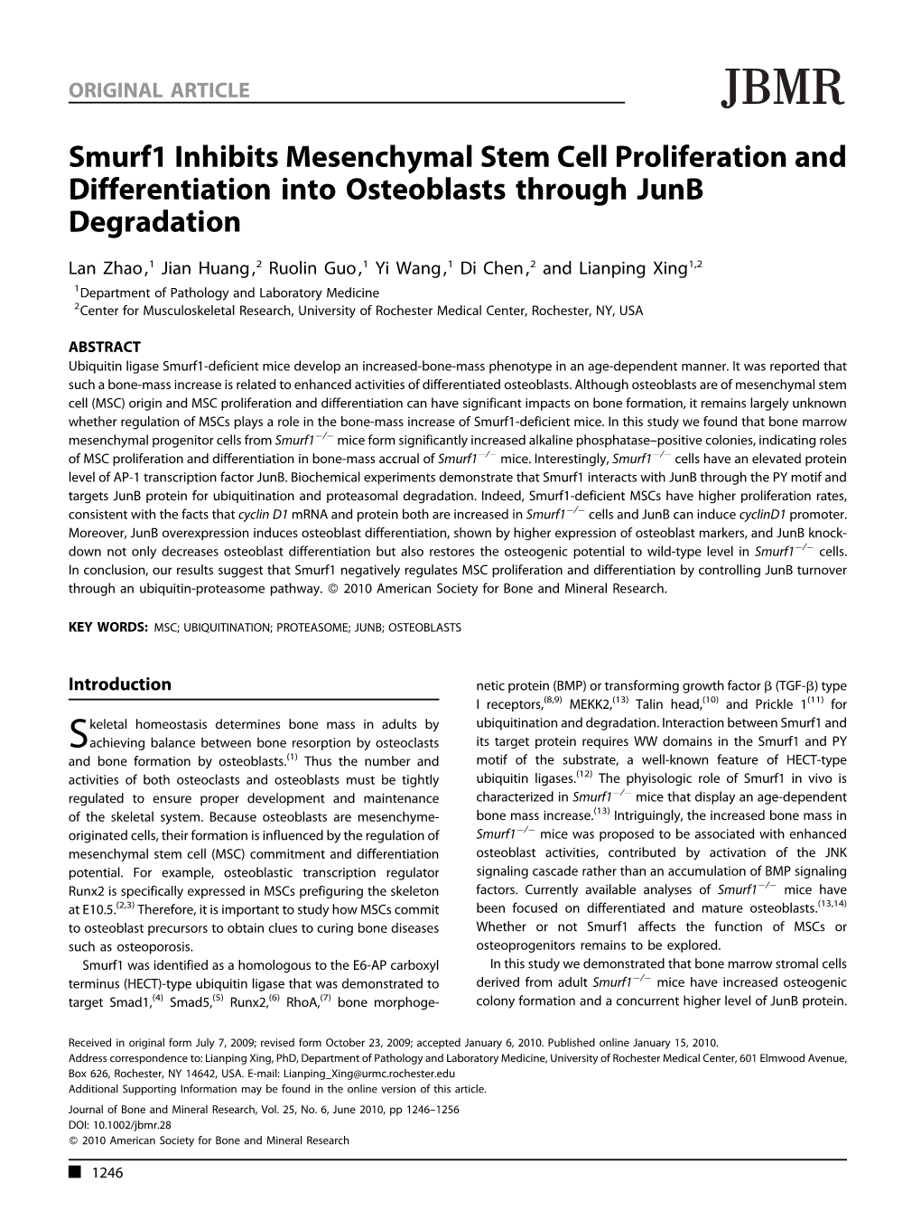 Smurf1 Inhibits Mesenchymal Stem Cell Proliferation and Differentiation Into Osteoblasts Through Junb Degradation