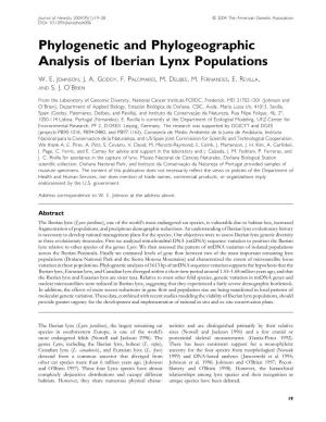 Phylogenetic and Phylogeographic Analysis of Iberian Lynx Populations