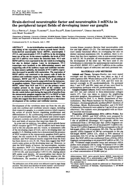 Brain-Derived Neurotrophic Factor and Neurotrophin 3 Mrnas in The