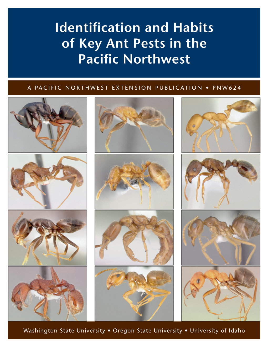 Identification and Habits of Major Ant Pests in the Pacific Northwest