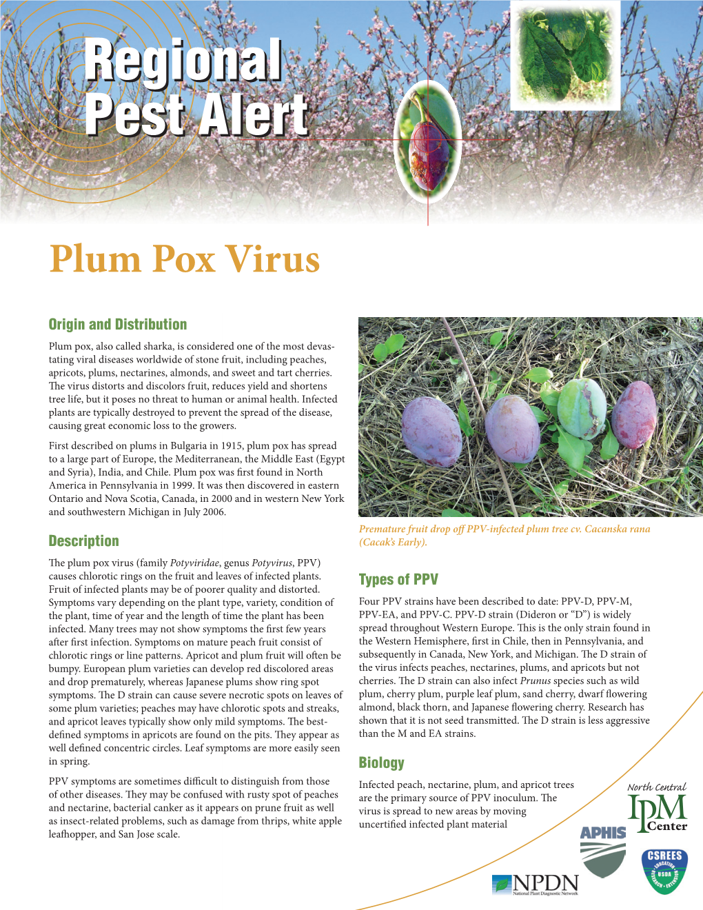 Plum Pox Virus