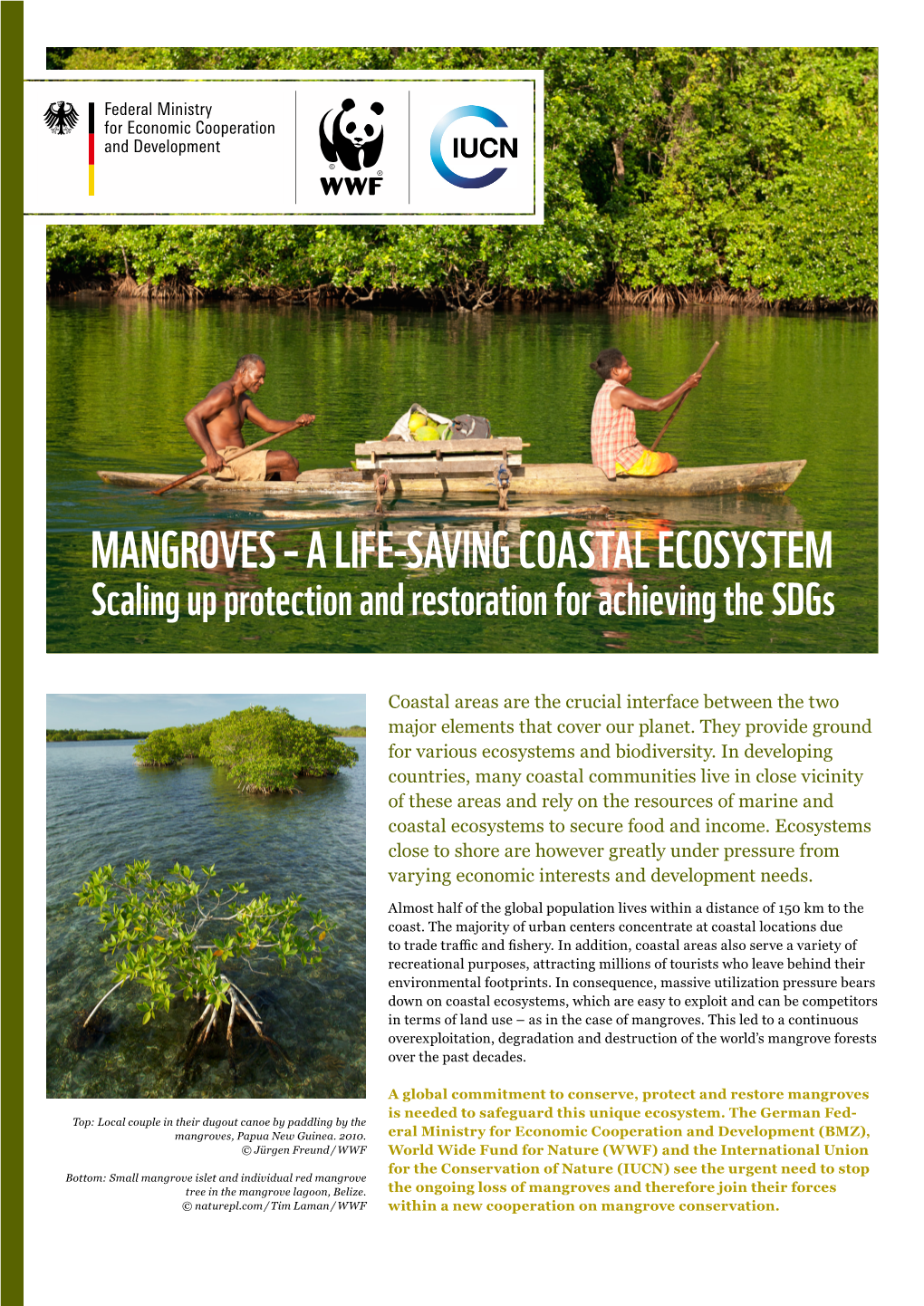 MANGROVES – a LIFE-SAVING COASTAL ECOSYSTEM Scaling up Protection and Restoration for Achieving the Sdgs