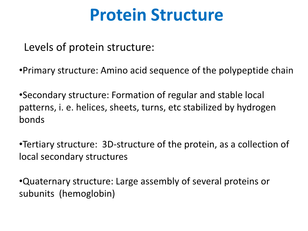 Protein Structure