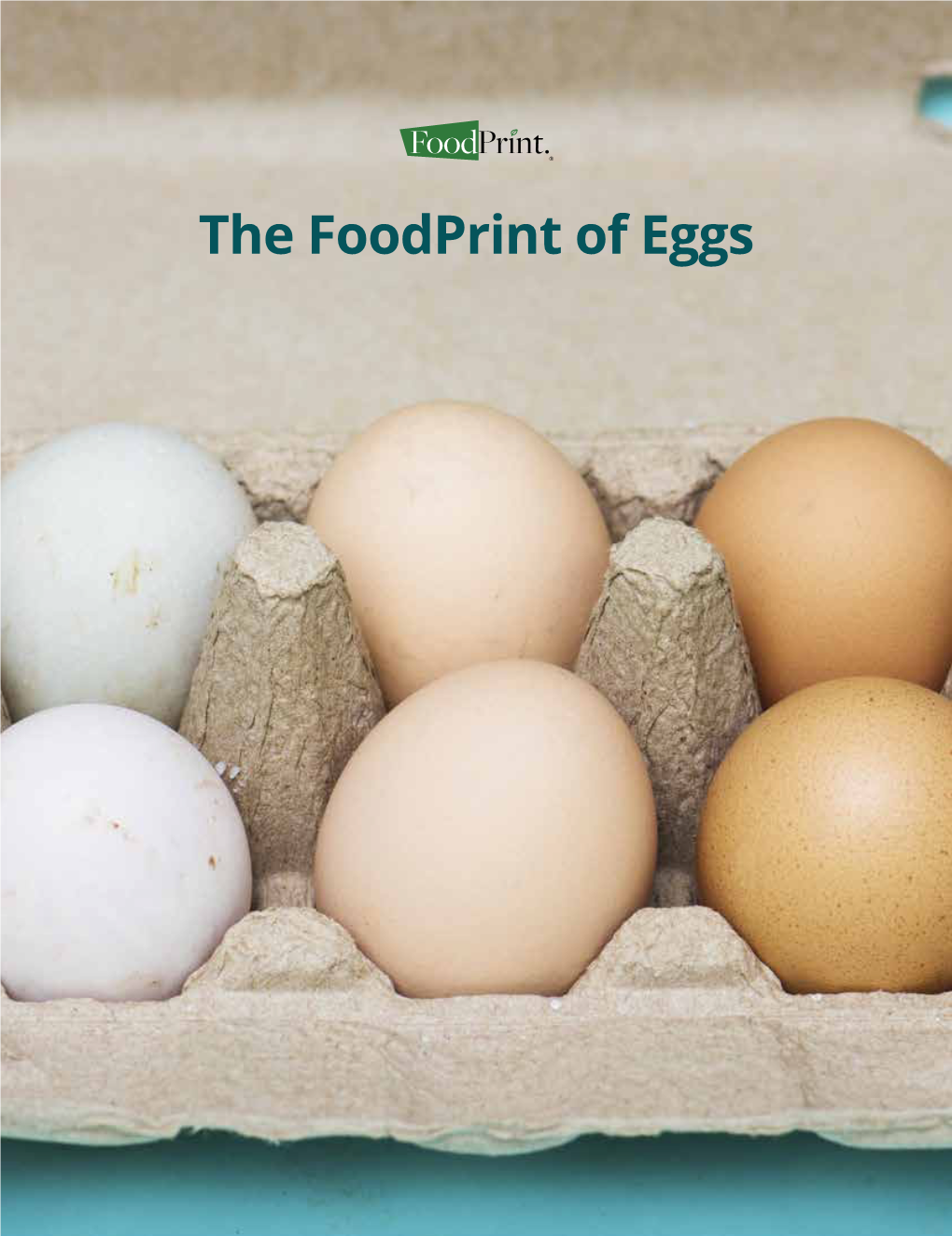 The Foodprint of Eggs