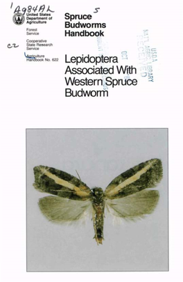 Lepidoptera Asssociated with Western Spruce Budworm