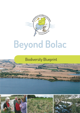 Biodiversity Blueprint Contents