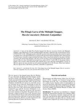 The Pelagic Larva of the Midnight Snapper, Macolor Macularis (Teleostei: Lutjanidae)