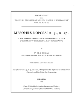 MESOPHIS NOPCSAI N. G., N. Sp