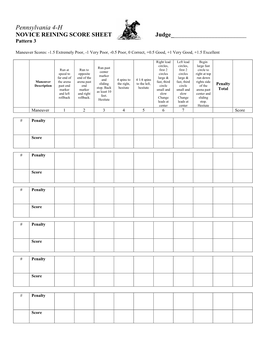 Novice Reining Pattern 3