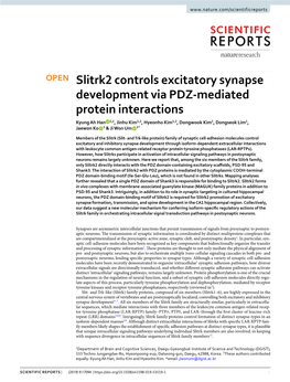 Slitrk2 Controls Excitatory Synapse Development Via PDZ-Mediated