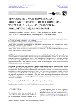 REPRODUCTIVE, MORPHOMETRIC, and ROOSTING DESCRIPTION of the HONDURAN WHITE BAT, Ectophylla Alba (CHIROPTERA: PHYLLOSTOMIDAE), in HONDURAS