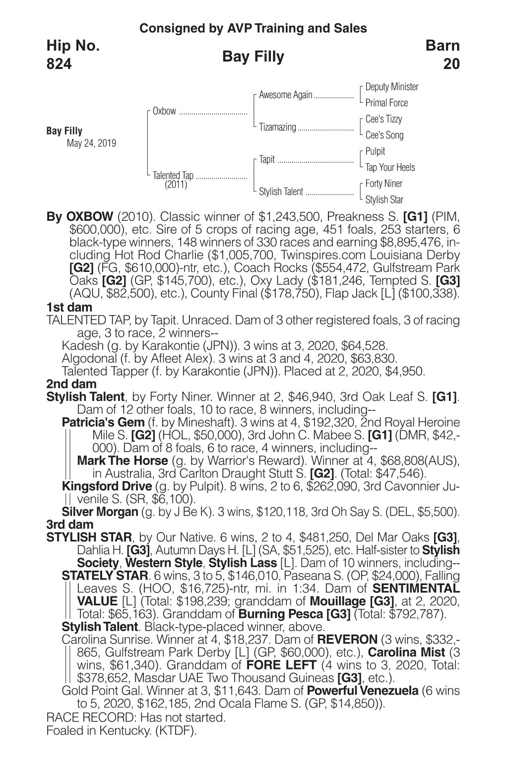 Bay Filly Barn 20 Hip No