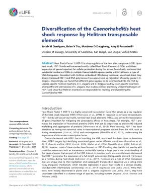 Diversification of the Caenorhabditis Heat Shock Response by Helitron Transposable Elements Jacob M Garrigues, Brian V Tsu, Matthew D Daugherty, Amy E Pasquinelli*