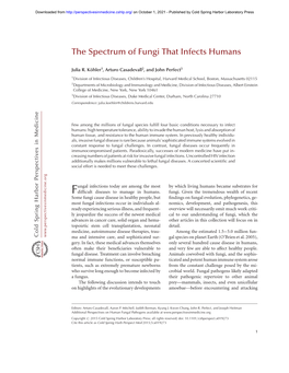 The Spectrum of Fungi That Infects Humans