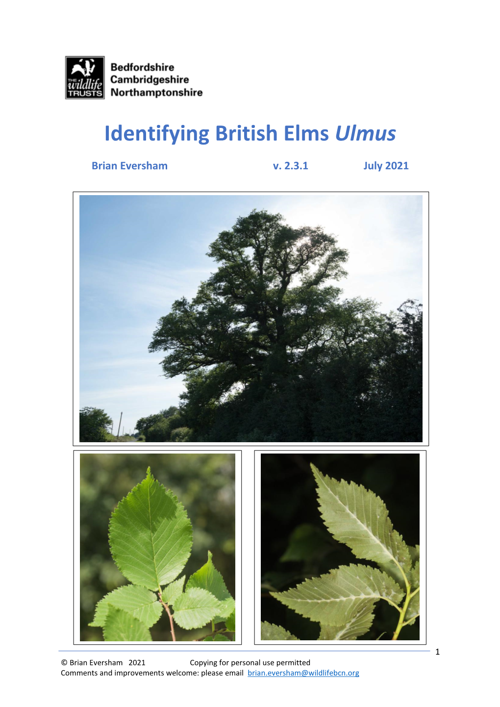 Identifying British Elms Ulmus