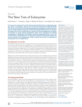 The New Tree of Eukaryotes