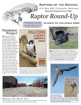 Raptor Round-Up