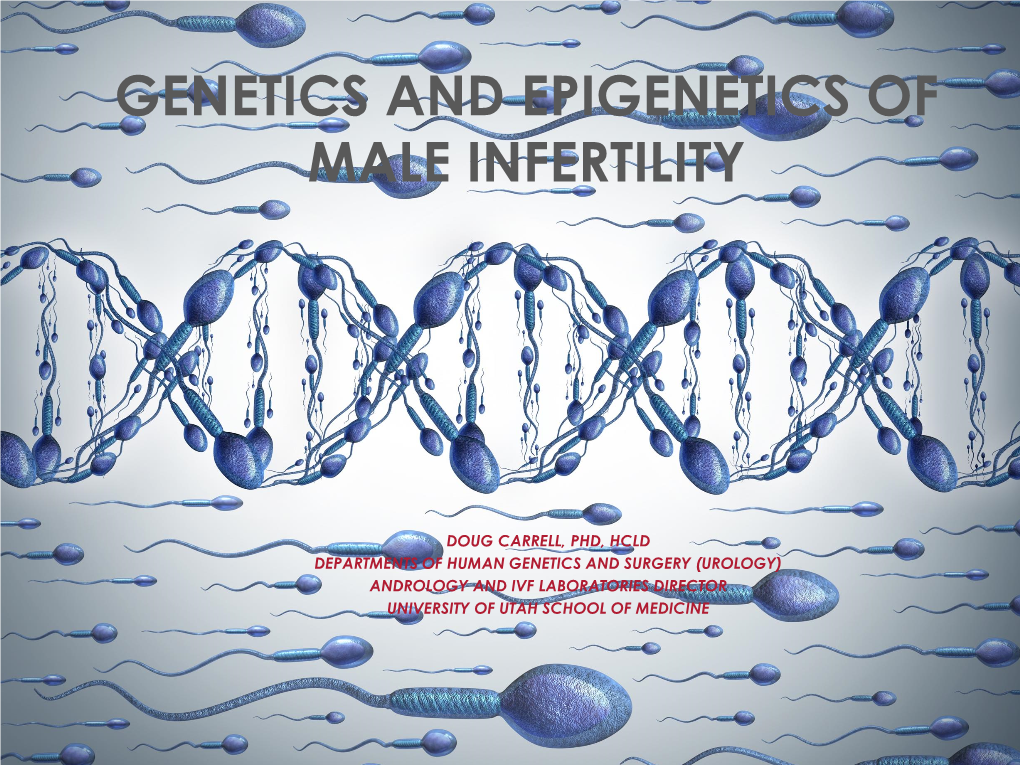 Genetics and Epigenetics of Male Infertility